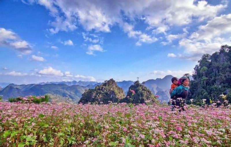 Hình ảnh xe khách truyền thống đang dừng tại bến xe Mỹ Đình chuẩn bị khởi hành đi Hạ Long, Quảng Ninh